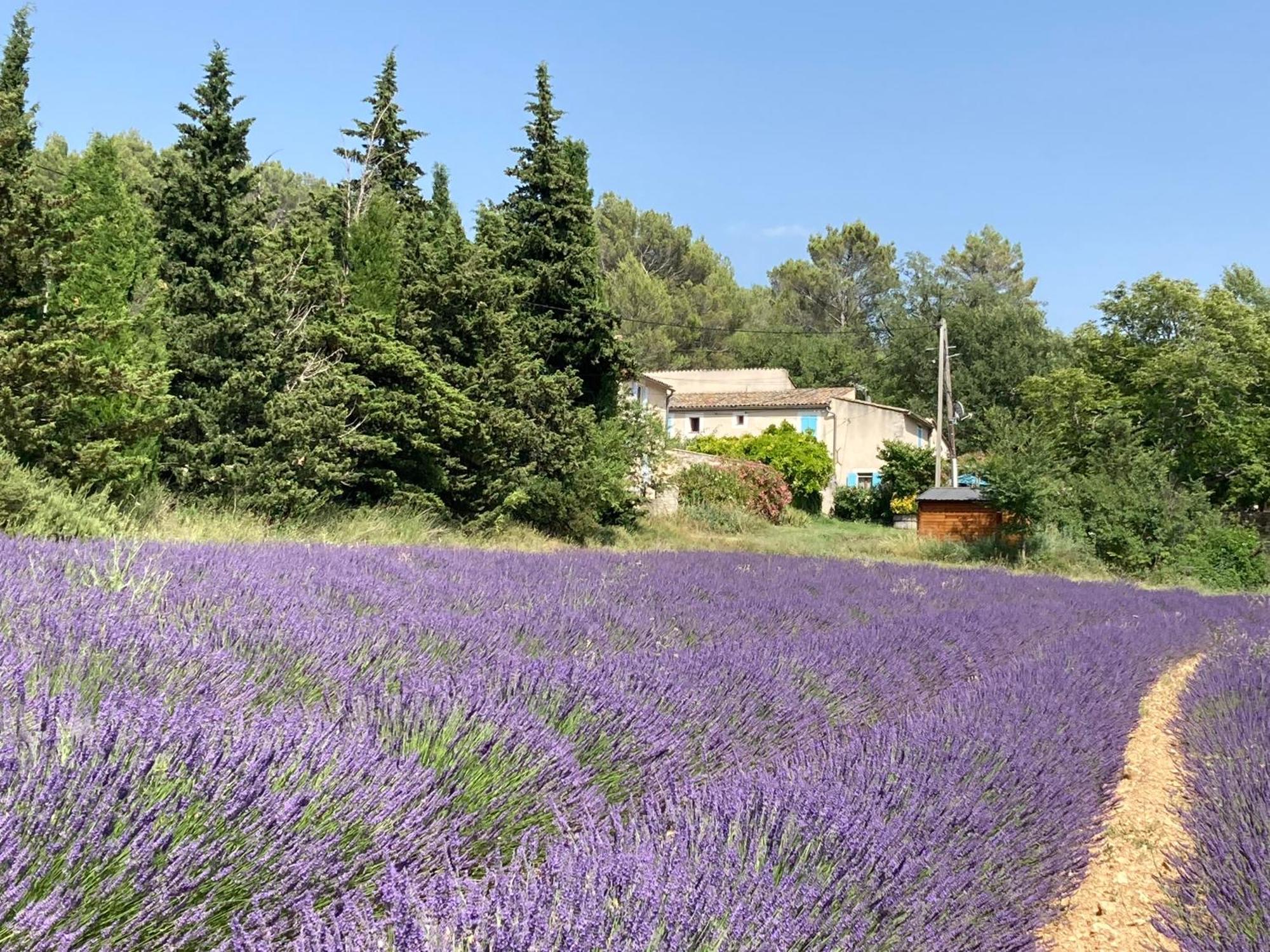 リュストレル Maison Au Colorado Provencalヴィラ エクステリア 写真