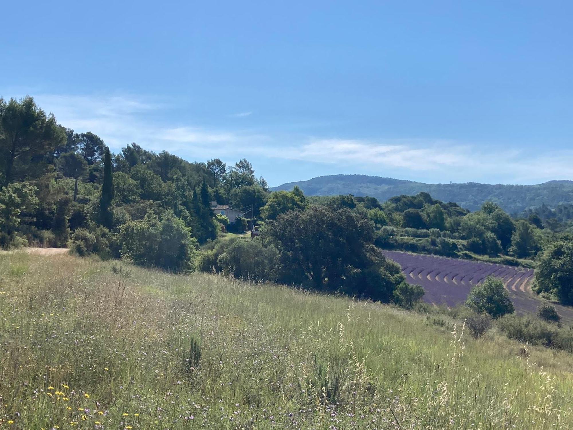 リュストレル Maison Au Colorado Provencalヴィラ エクステリア 写真